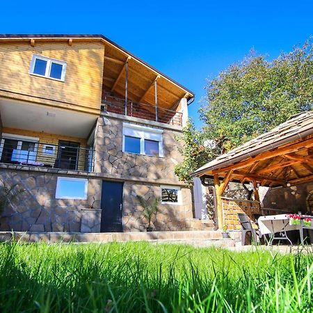 Vila Nemir Zavojsko Jezero Πίροτ Εξωτερικό φωτογραφία